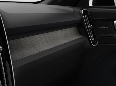 Volvo EX40 Single EXTEND.RANGE PLUS 82kWh 252k